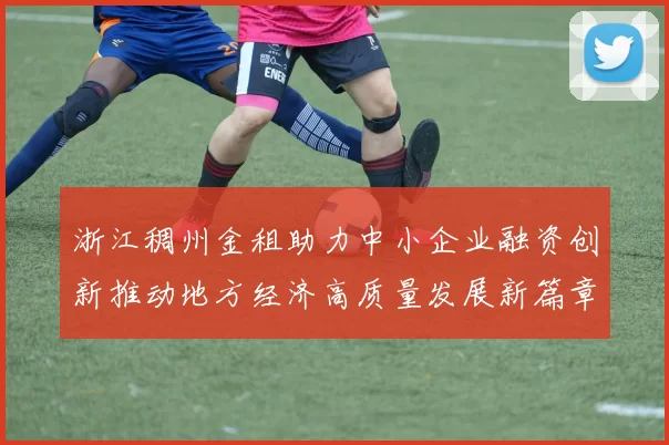 浙江稠州金租助力中小企业融资创新推动地方经济高质量发展新篇章