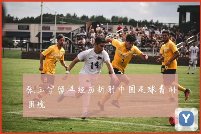 张玉宁留洋经历折射中国足球青训困境